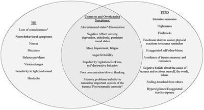 A Multi-Method Approach to a Comprehensive Examination of the Psychiatric and Neurological Consequences of Intimate Partner Violence in Women: A Methodology Protocol